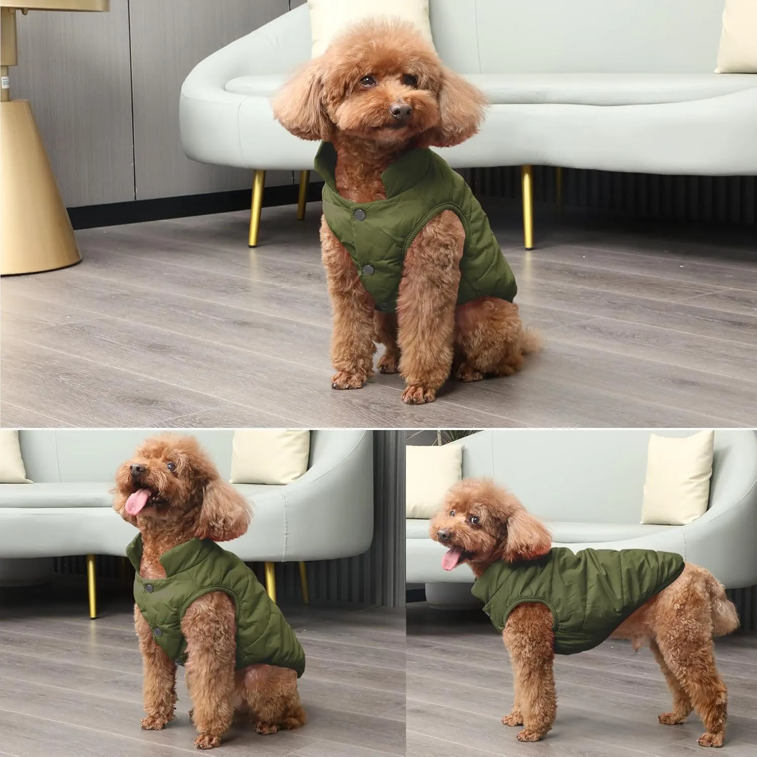 2 Layers Fleece Lined Warm Dog Jacket for Puppy Winter Cold Weather,Soft Windproof Small Dog Coat,Green M