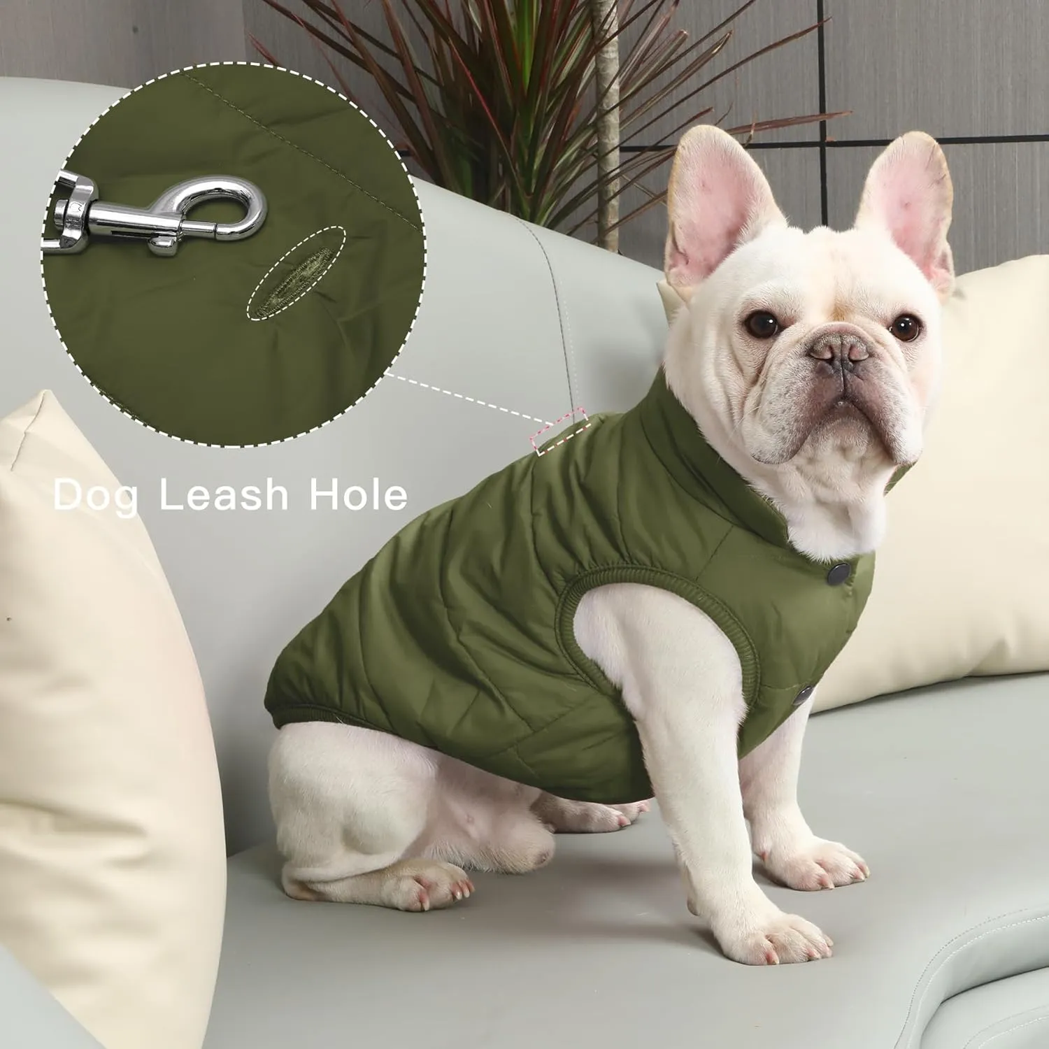 2 Layers Fleece Lined Warm Dog Jacket for Puppy Winter Cold Weather,Soft Windproof Small Dog Coat,Green M