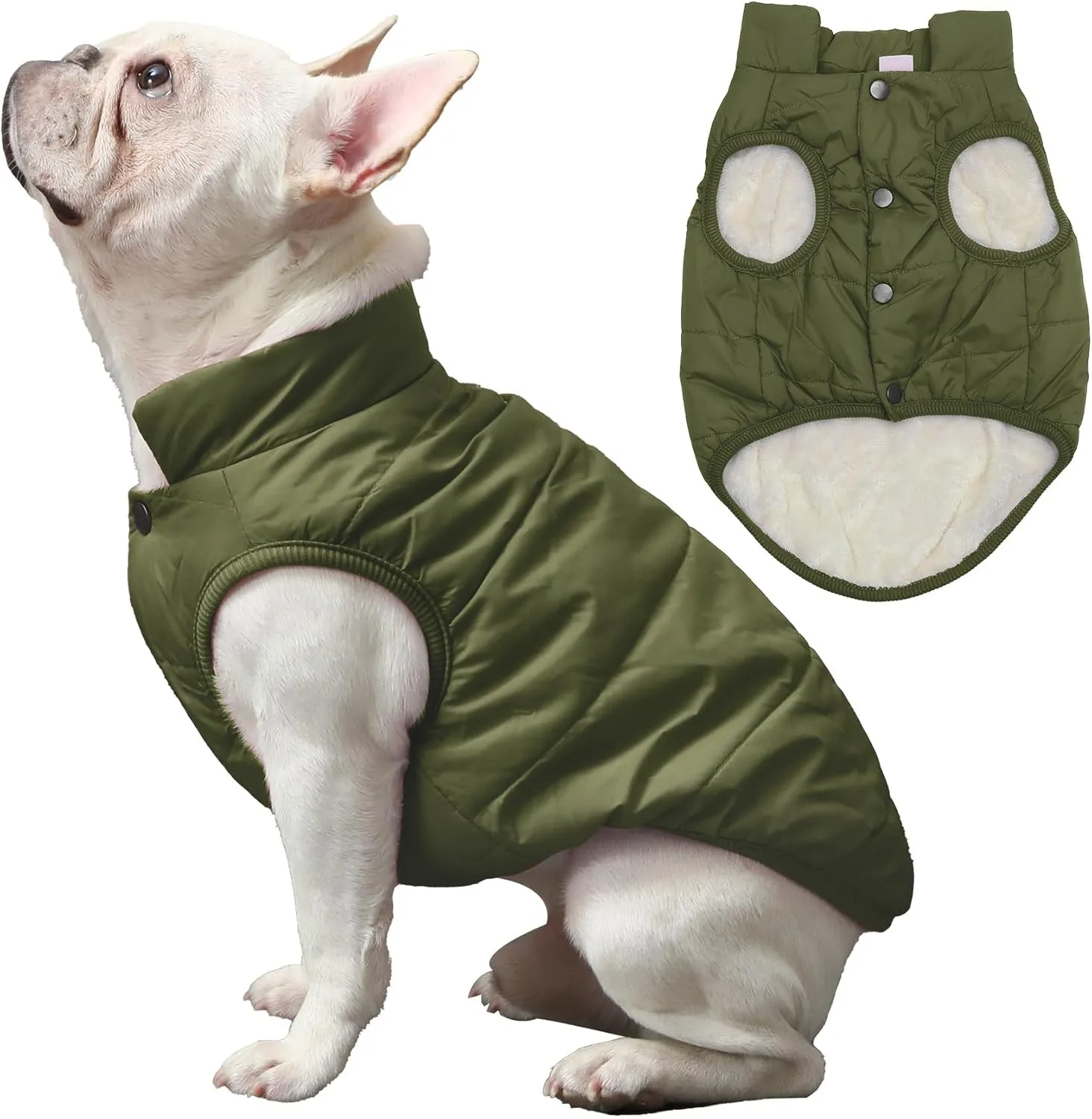 2 Layers Fleece Lined Warm Dog Jacket for Puppy Winter Cold Weather,Soft Windproof Small Dog Coat,Green M