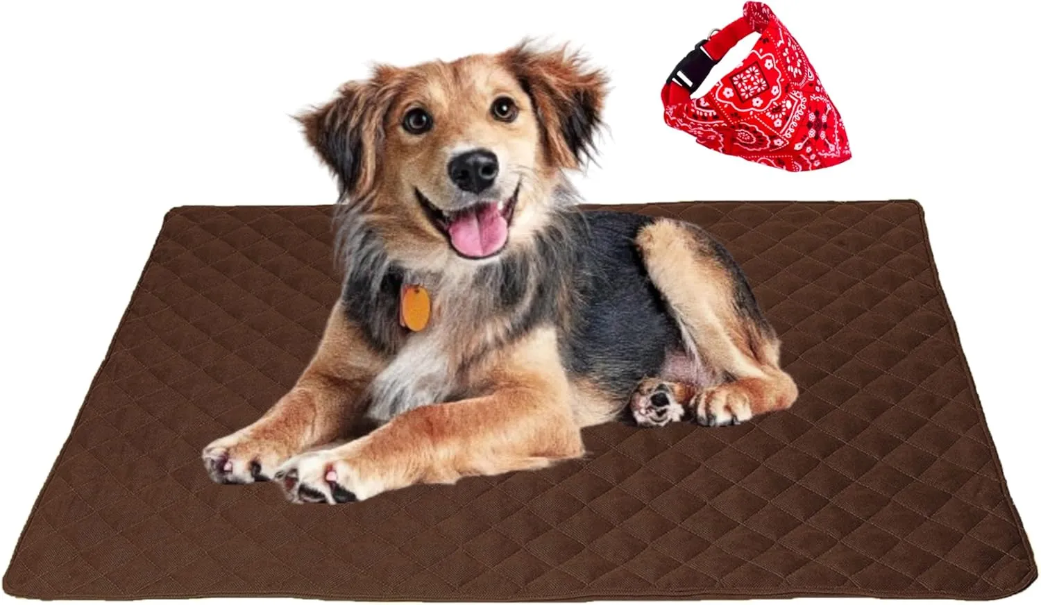ariika Waterproof Couch Covers for Pets - Durable, Scratch-Resistant - Eco-Friendly Polyester & Cotton Mix, Odor-Free, Ideal for All Breeds - Dog Bed Cover for Sofa, Floor, Car Seats and Bed