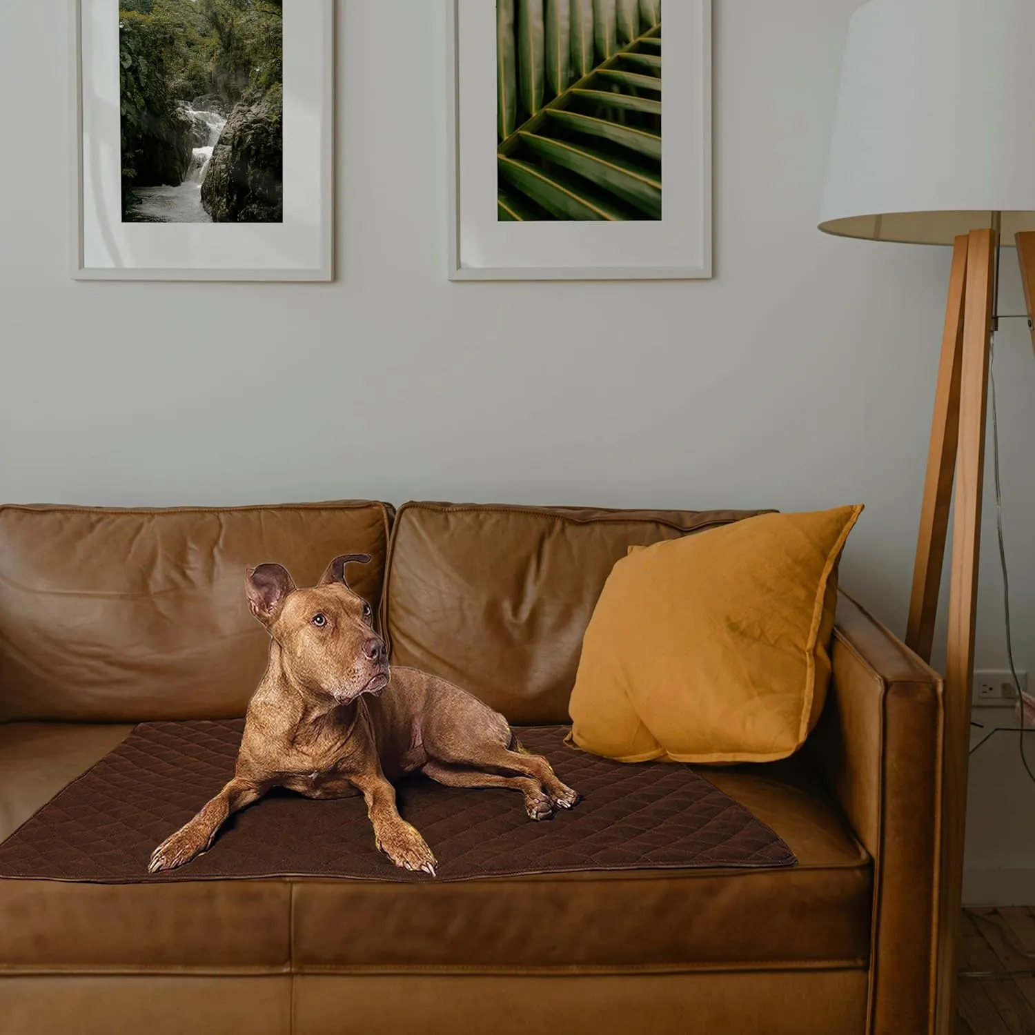 ariika Waterproof Couch Covers for Pets - Durable, Scratch-Resistant - Eco-Friendly Polyester & Cotton Mix, Odor-Free, Ideal for All Breeds - Dog Bed Cover for Sofa, Floor, Car Seats and Bed