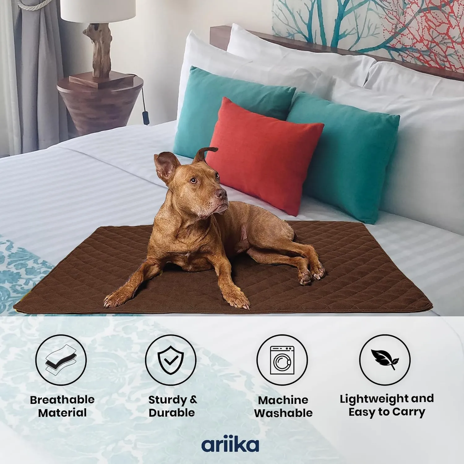 ariika Waterproof Couch Covers for Pets - Durable, Scratch-Resistant - Eco-Friendly Polyester & Cotton Mix, Odor-Free, Ideal for All Breeds - Dog Bed Cover for Sofa, Floor, Car Seats and Bed