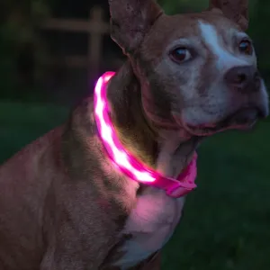 Blazin Light Up Dog Collar - The Original LED Dog Collar - USB Rechargeable - Waterproof - 1,000 Feet of Visibility - Dog Collar Light for Small, Medium, Large Dogs - US Brand