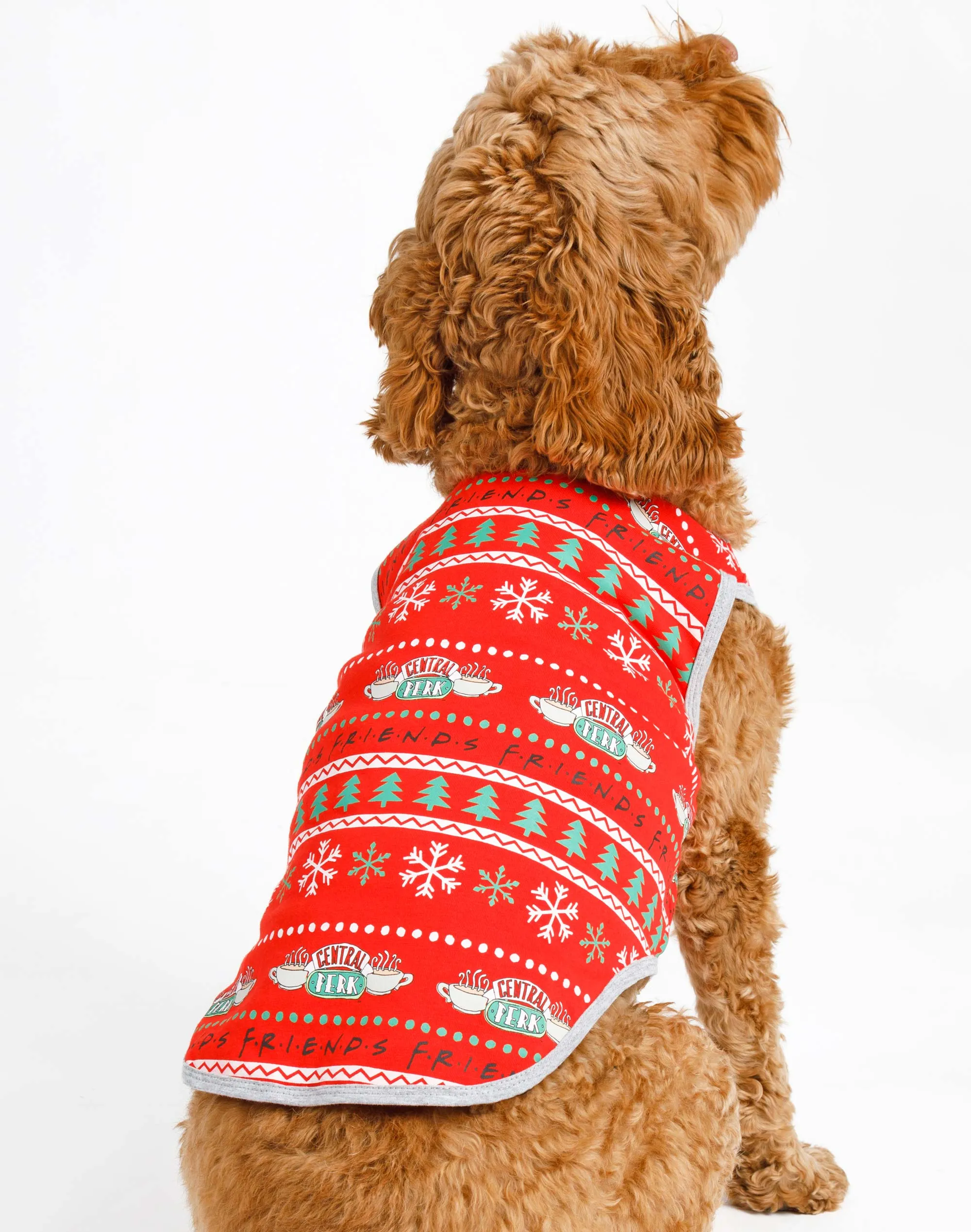 Friends Christmas Family Pyjamas - Pets