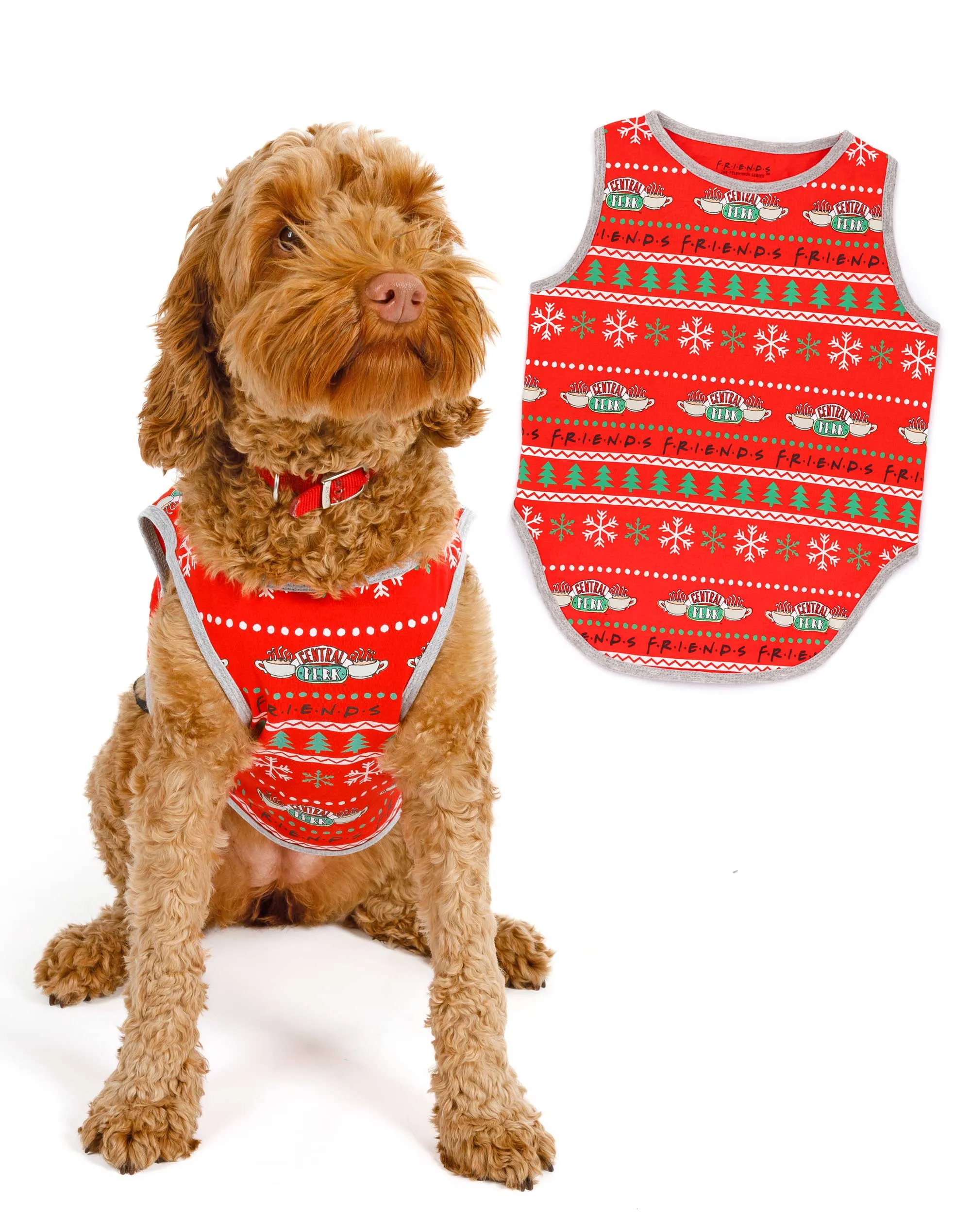 Friends Christmas Family Pyjamas - Pets