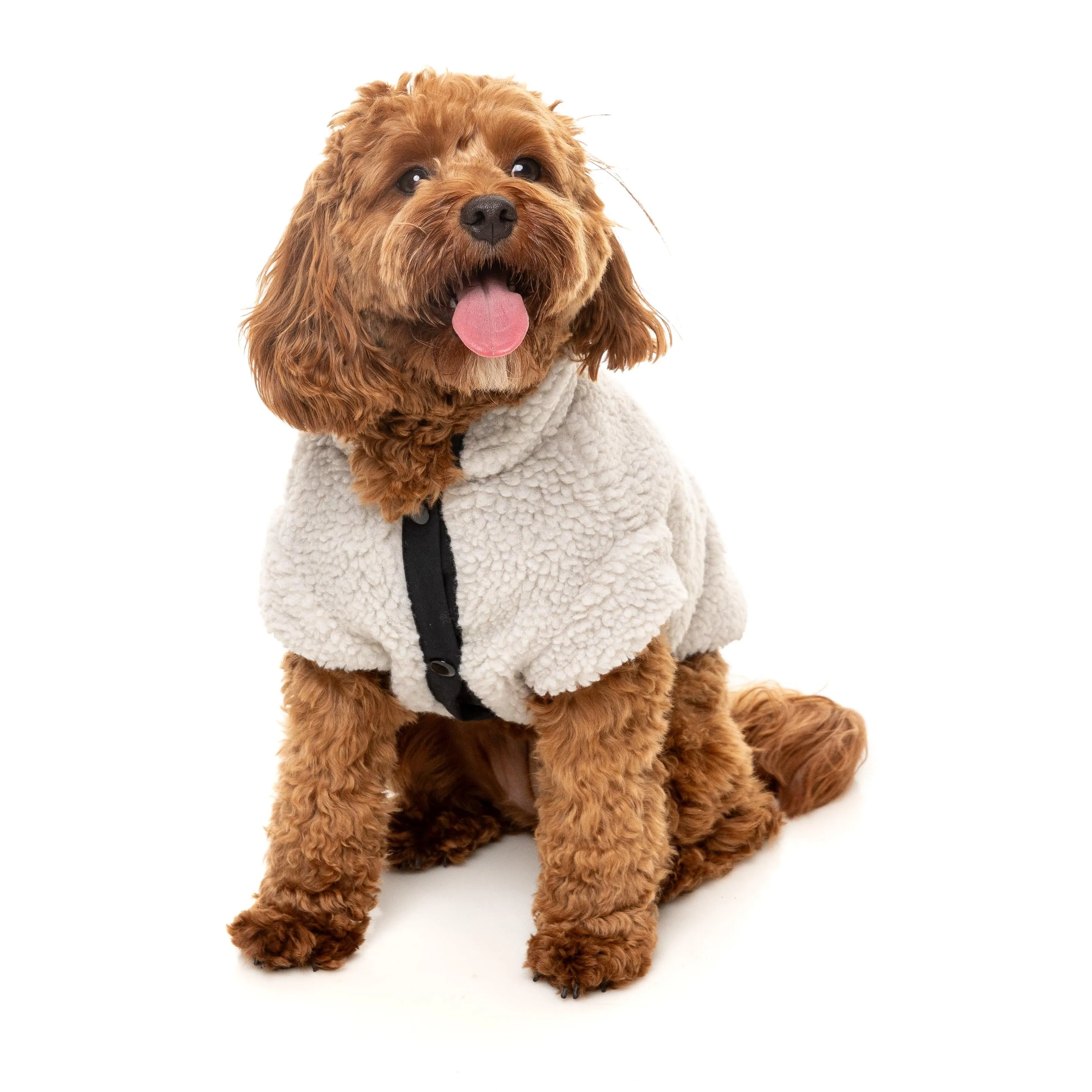 FuzzYard Dog Apparel Jacket Basecamp Stone Size 6