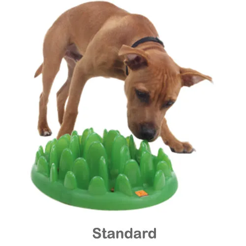 Green Slow Dog Feeder
