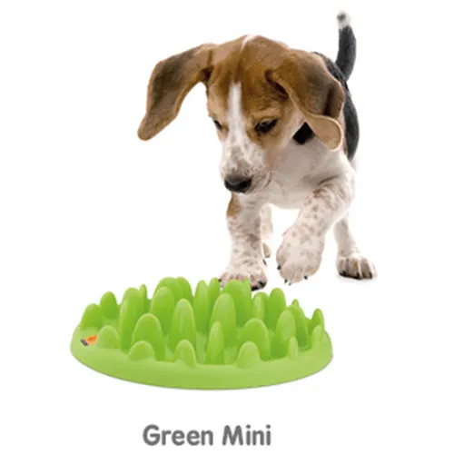 Green Slow Dog Feeder