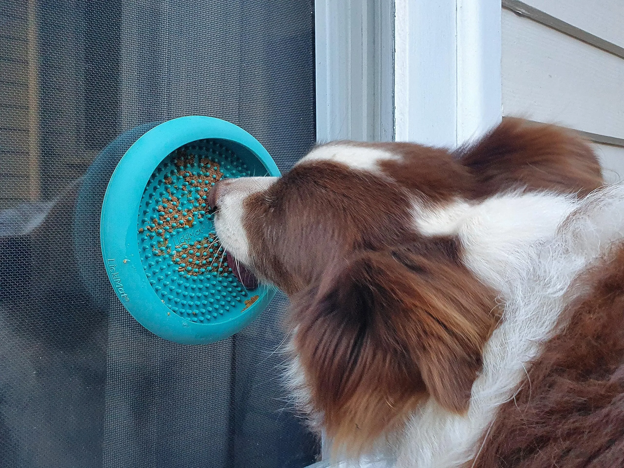Innovative Pet Lickimat UFO Suction Grip Slow Feeding Rubber Cat and Dog Bowl - Purple