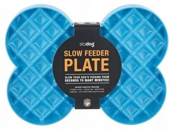 Innovative Pet SloDog Slow Feeding Dog Bowl - Turqoise