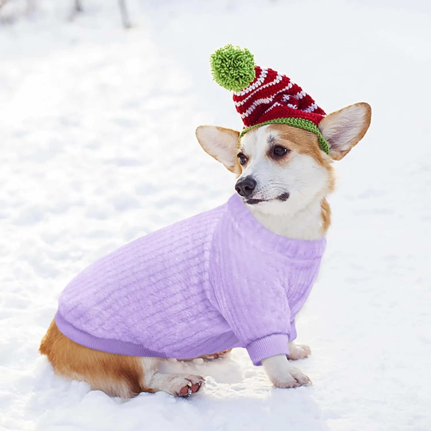 Kuoser Dog Sweater, Dog Sweaters Dog Clothes for Small Medium Dogs Girls Boys, Soft Warm Puppy Sweater Dog Coat, Dog Winter Clothes Doggie Sweatshirt for Small Medium Dogs, Purple M