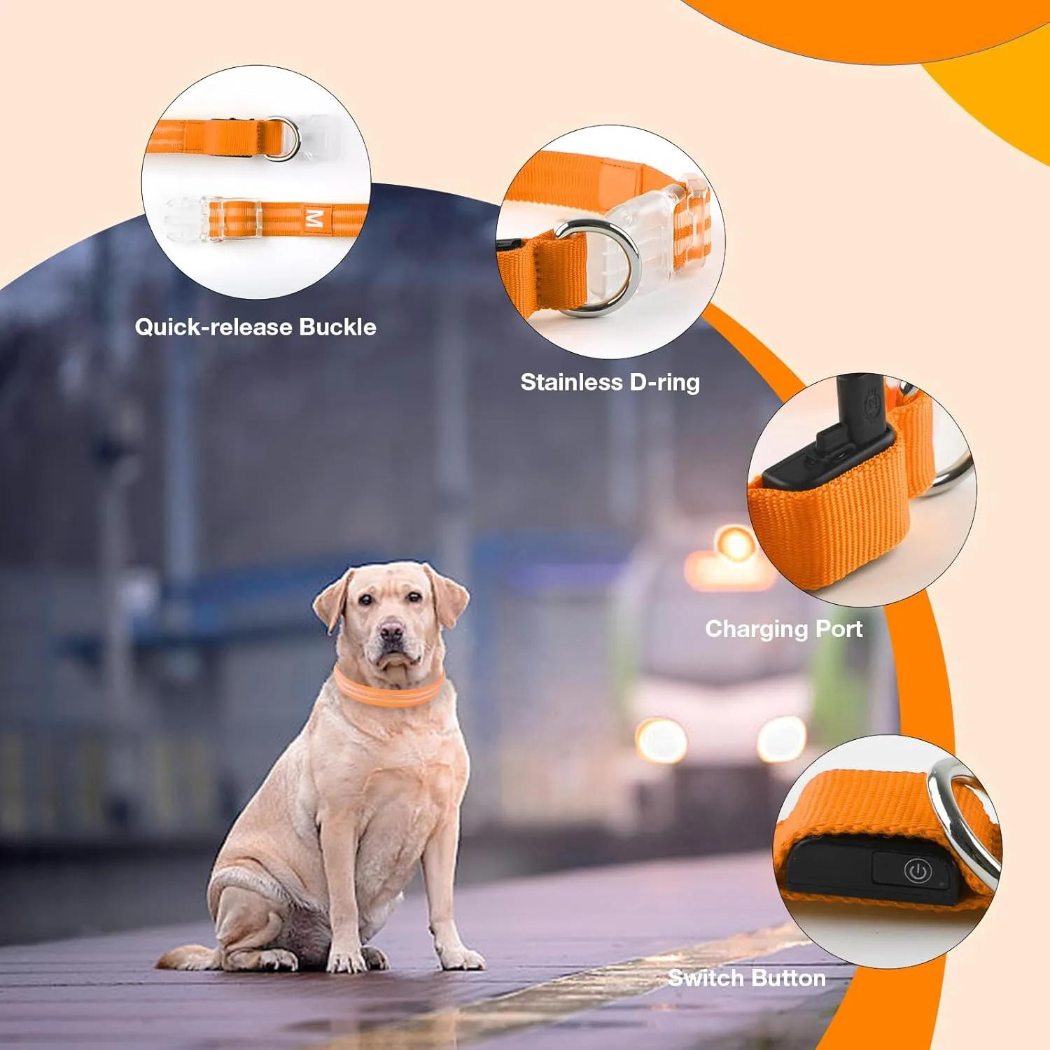 LED Dog Collar, Light Up Dog Collar, Lighted Dog Collars Adjustable for Night Walking, Glow in The Dark Dog Collars Light with USB Rechargeable Color Changing Waterproof for Dogs (Orange, Medium)