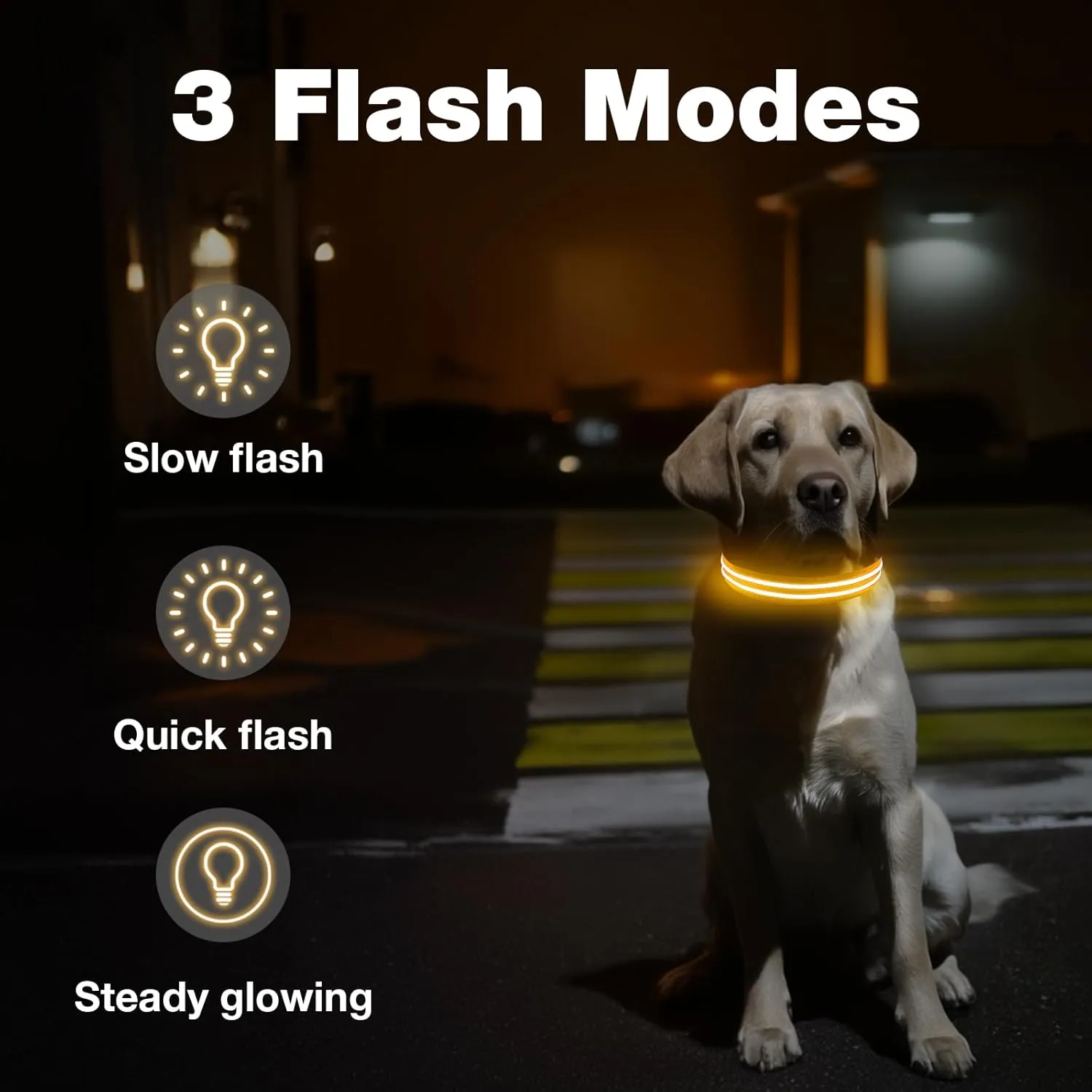 LED Dog Collar, Light Up Dog Collar, Lighted Dog Collars Adjustable for Night Walking, Glow in The Dark Dog Collars Light with USB Rechargeable Color Changing Waterproof for Dogs (Orange, Medium)
