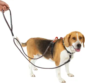 No Pull Dog Harness with Two Points Control Leash Set, Neck Buckle, Aluminum D-Rings, 6 Points Adjustment, Easy Walking and Training, Leash with 2 Clips (Harness-Leash Set, XS)