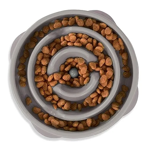 Outward Hound Ant-Skid Fun Feeder Slo-Bowl Slow Feeding Dog Bowl - Turquise Drop - Large