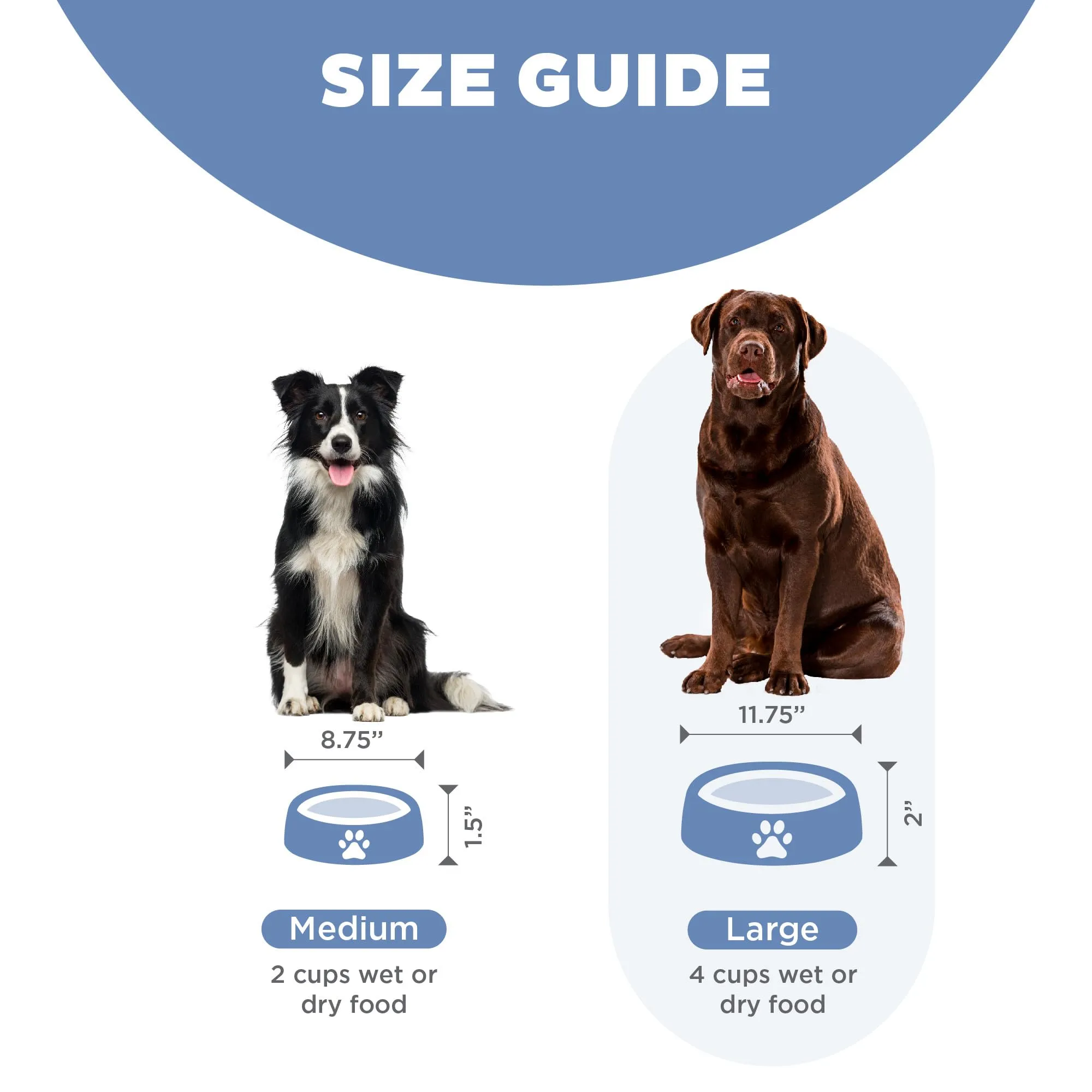 Outward Hound Fun Feeder Slo-Bowl Slow Feeding Dog Bowl - Blue - Large/Regular