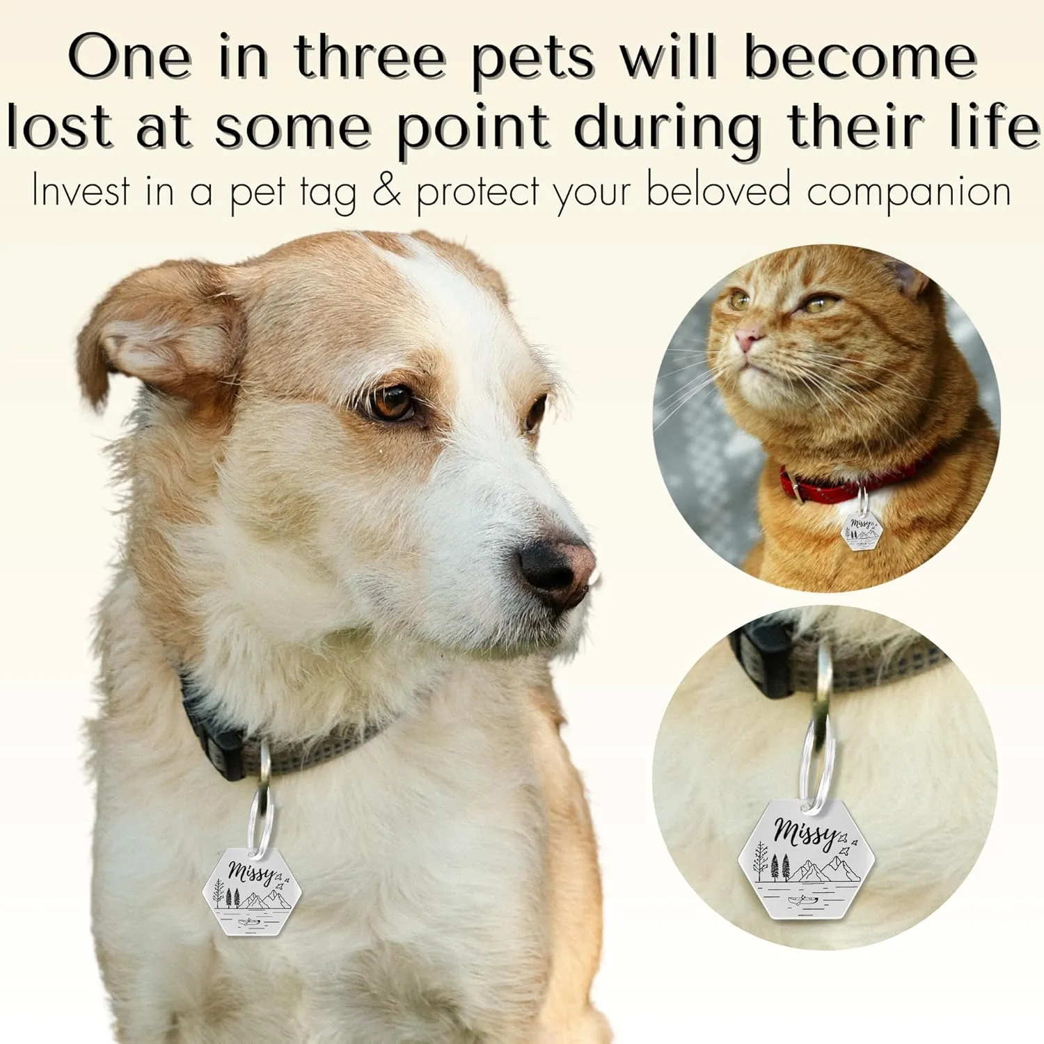 PawFurEver Stainless Steel Pet ID Tag | Personalized Cat & Dog Tags - Engraved Front & Back - Dark Etching - Hexagon, Rose Gold