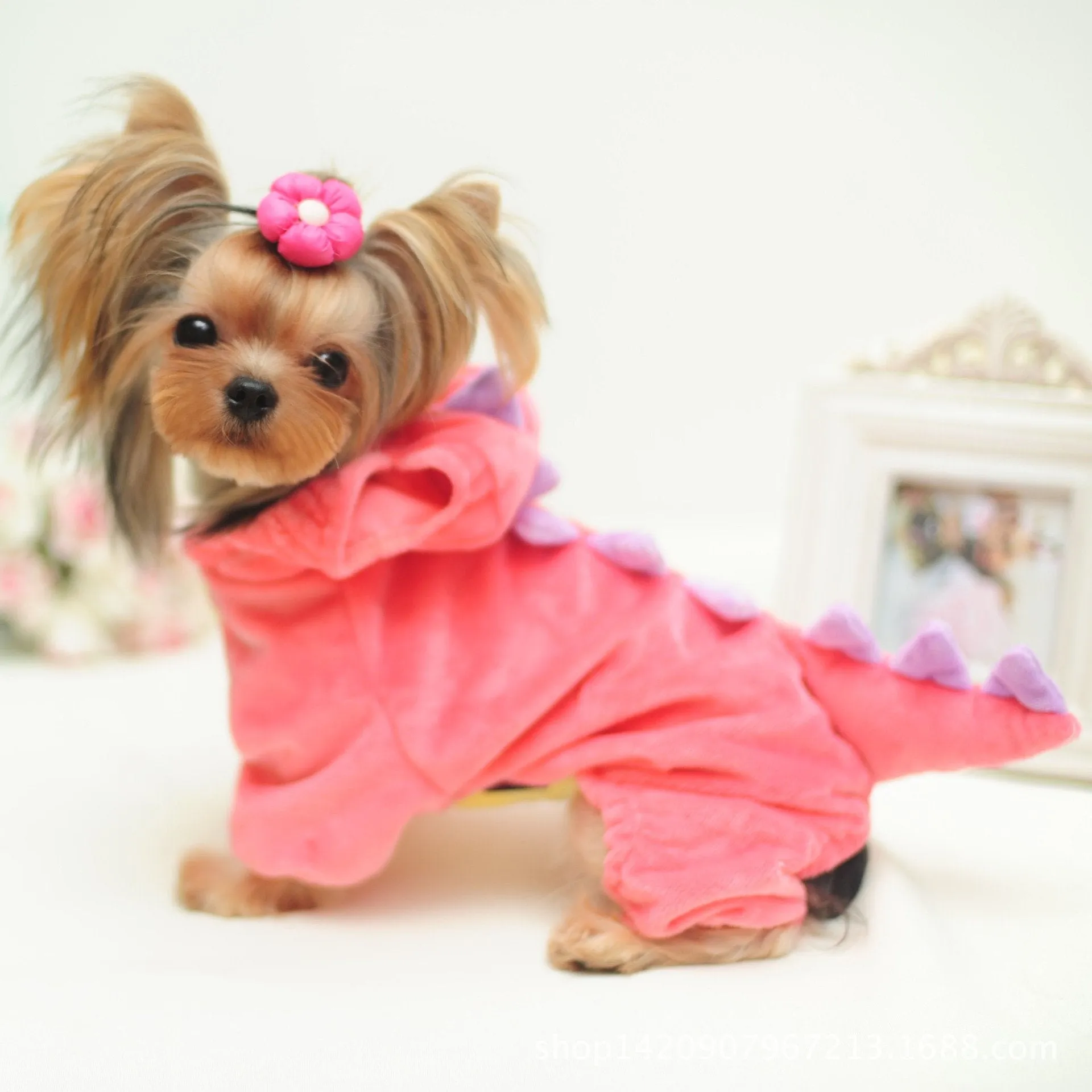 Pet Plush Outfit Dinosaur Costume with Hood for Small Dogs & Cats Jumpsuit Winter Coat Warm Clothes