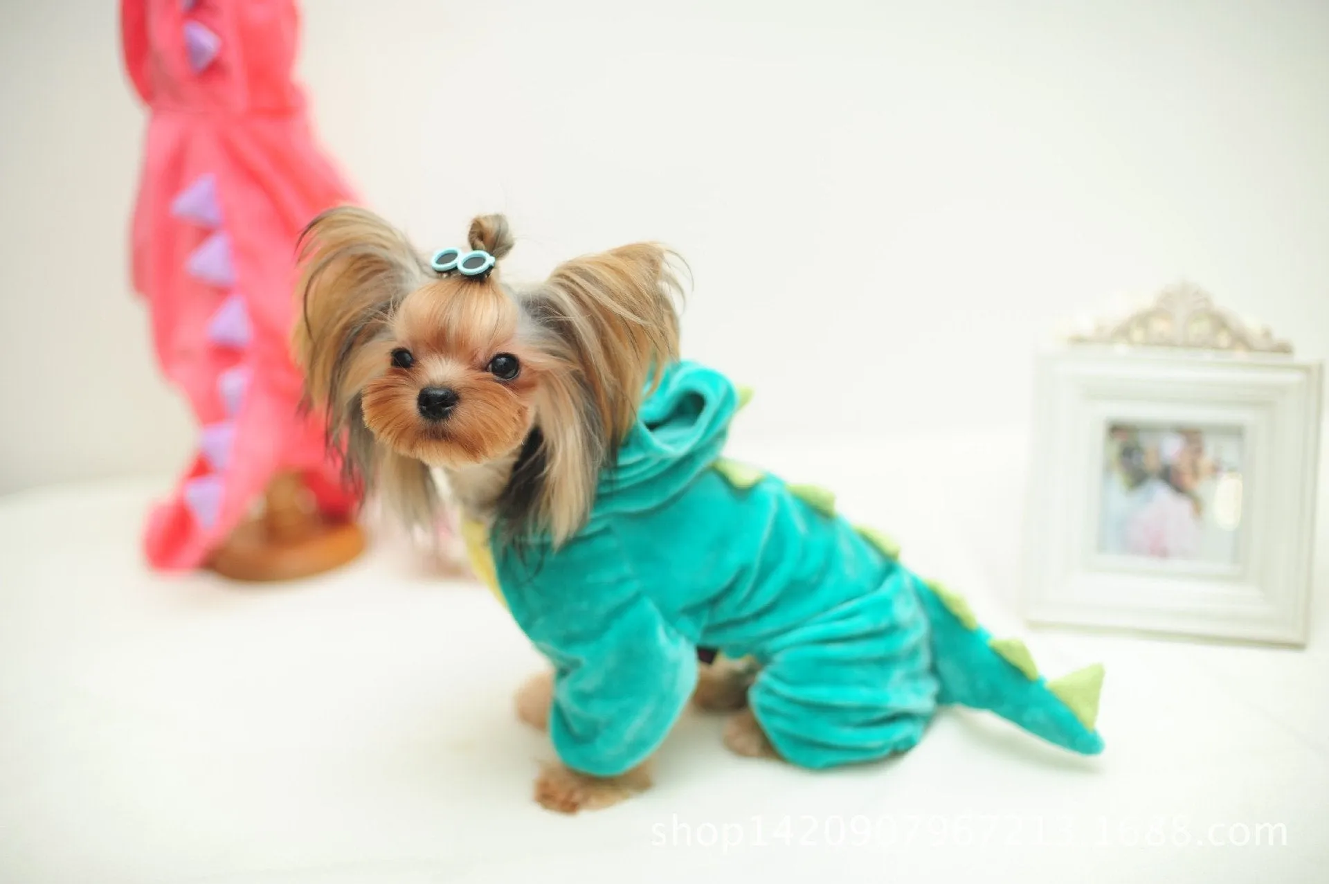 Pet Plush Outfit Dinosaur Costume with Hood for Small Dogs & Cats Jumpsuit Winter Coat Warm Clothes