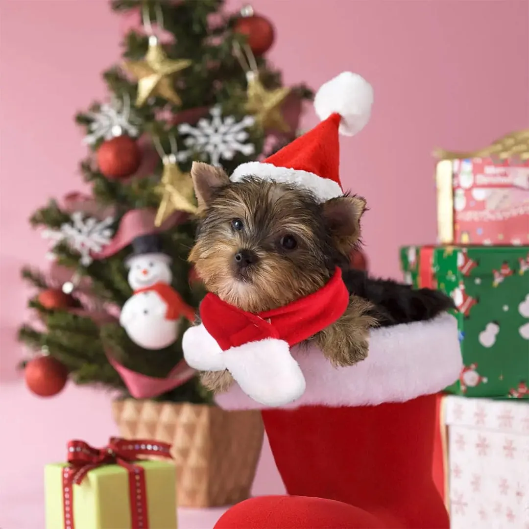 PetAffairs Christmas Costume with Santa Hat Scarf Xmas Outfit
