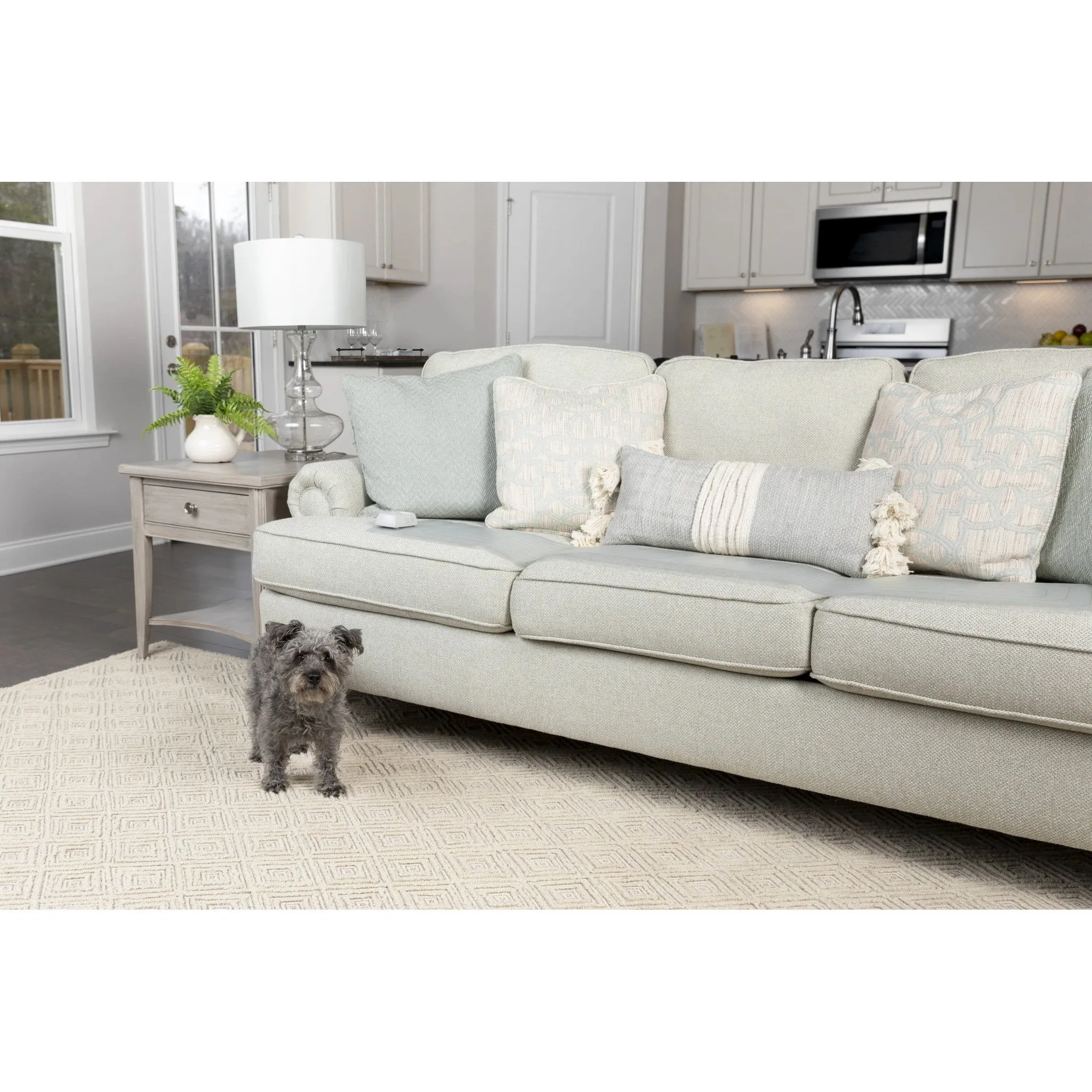 PetSafe Scat Mat Indoor Pet Training Mat