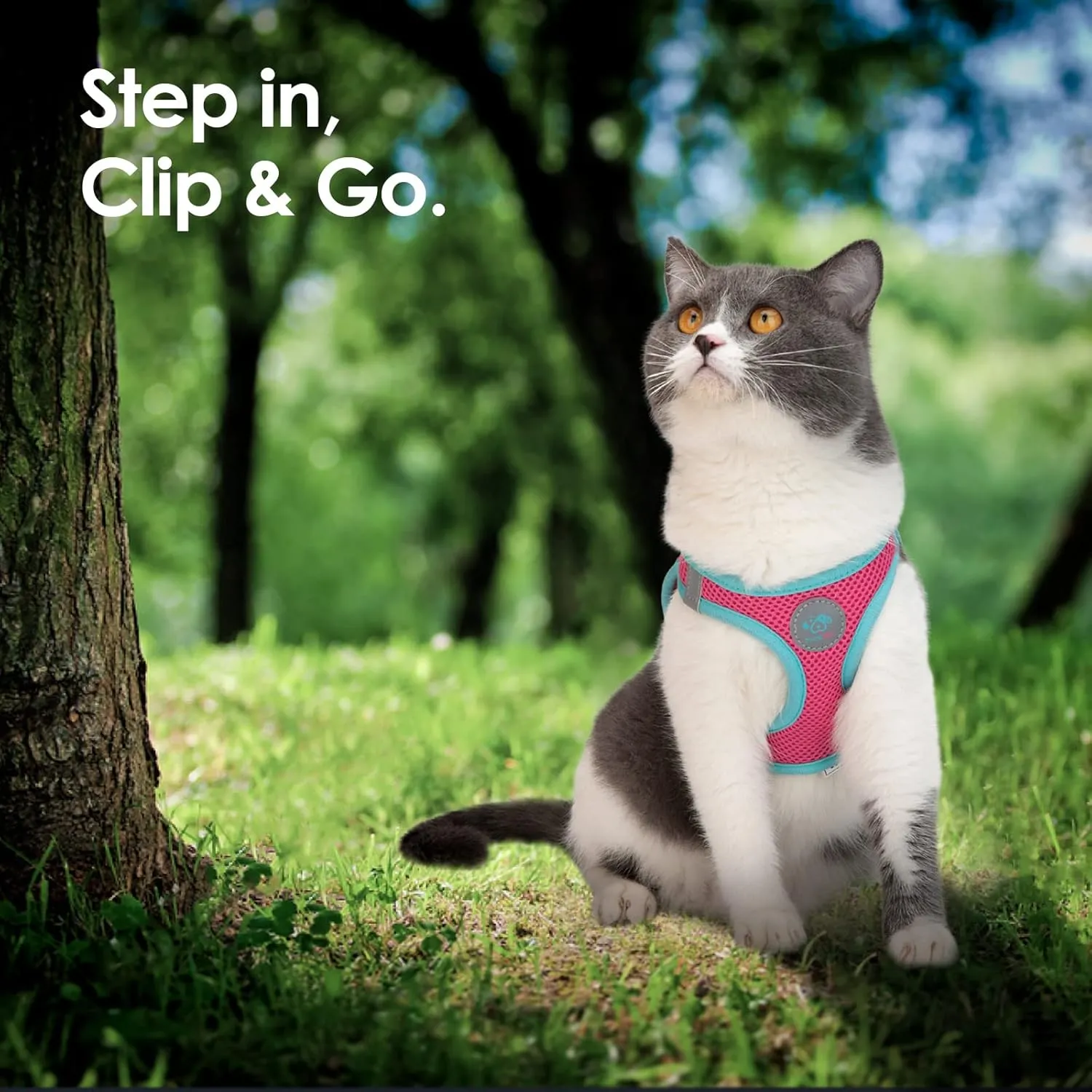 PHOEPET Step-in Dog Harness,Reflective Adjustable Dog Vest Harness, Soft Pet Walking Jacket with 2 Metal Leash Hooks for Dog and Cat(Pink Base & Green Straps,XL)