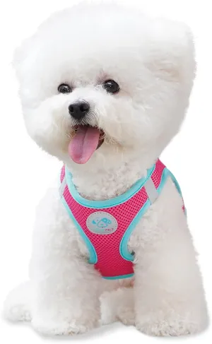 PHOEPET Step-in Dog Harness,Reflective Adjustable Dog Vest Harness, Soft Pet Walking Jacket with 2 Metal Leash Hooks for Dog and Cat(Pink Base & Green Straps,XL)