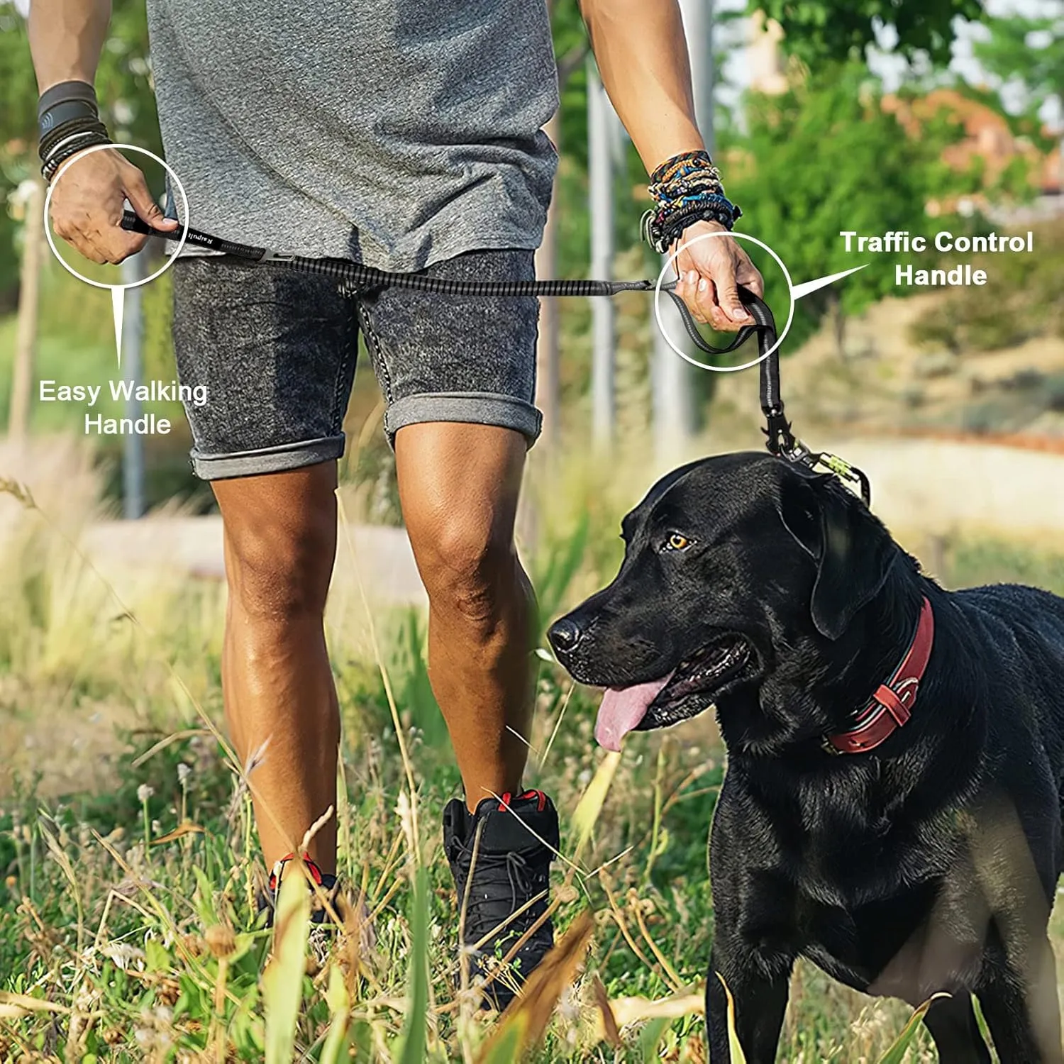 Raipult Tactical Heavy Duty Bungee Dog Leash for Medium Large Dogs That Pull, Military K9 Working Lead, 4-6FT Shock Absorbing Frog Clip Leash with Padded Traffic Handle & Car Seatbelt, Black