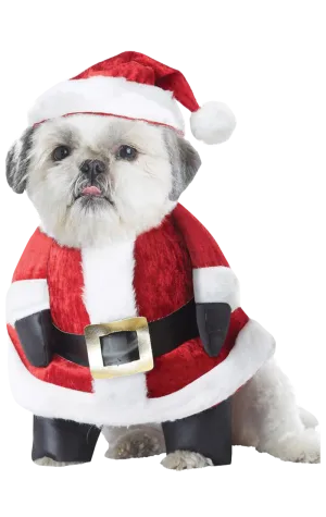 Santa Paws Christmas Dog Costume