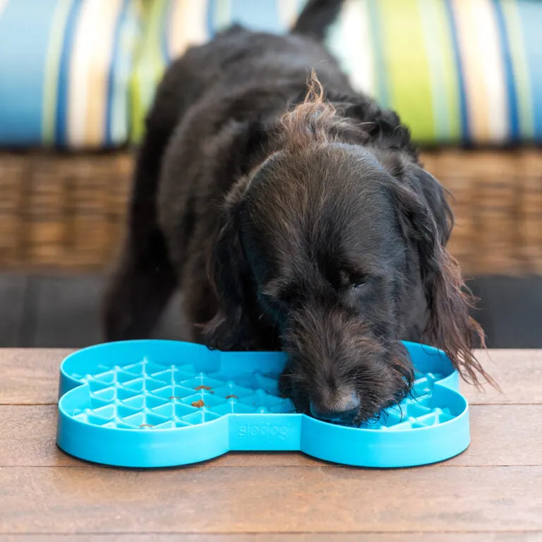 Slodog Slow Feeding Plate
