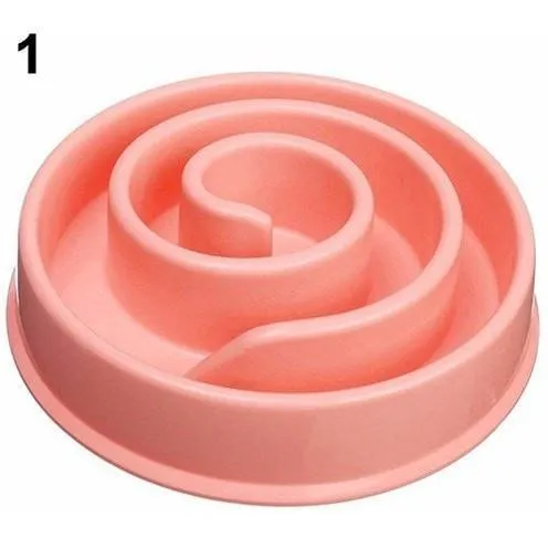 Slow Feeding Dog Bowl