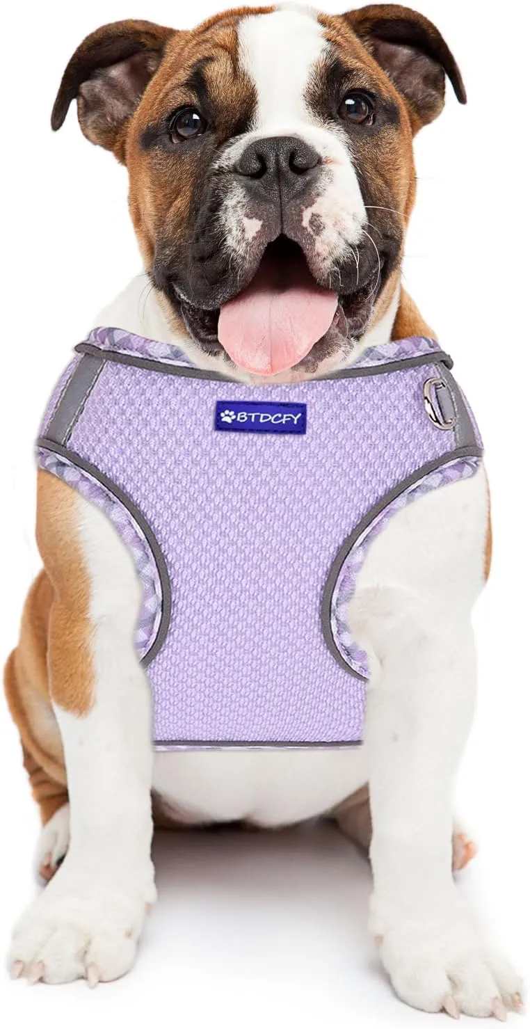 Step in Mesh Dog Harness and Leash Set, Breathable Air Mesh, Reflective, Escape Proof, No Choke, Lightweight, Purple, S(neck:10.5"-12",chest:13.5"-16"), Sporty, Dog, Harness