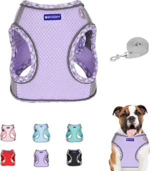 Step in Mesh Dog Harness and Leash Set, Breathable Air Mesh, Reflective, Escape Proof, No Choke, Lightweight, Purple, S(neck:10.5"-12",chest:13.5"-16"), Sporty, Dog, Harness