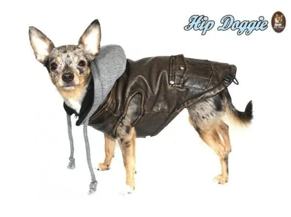 Vintage Bomber Dog Jacket